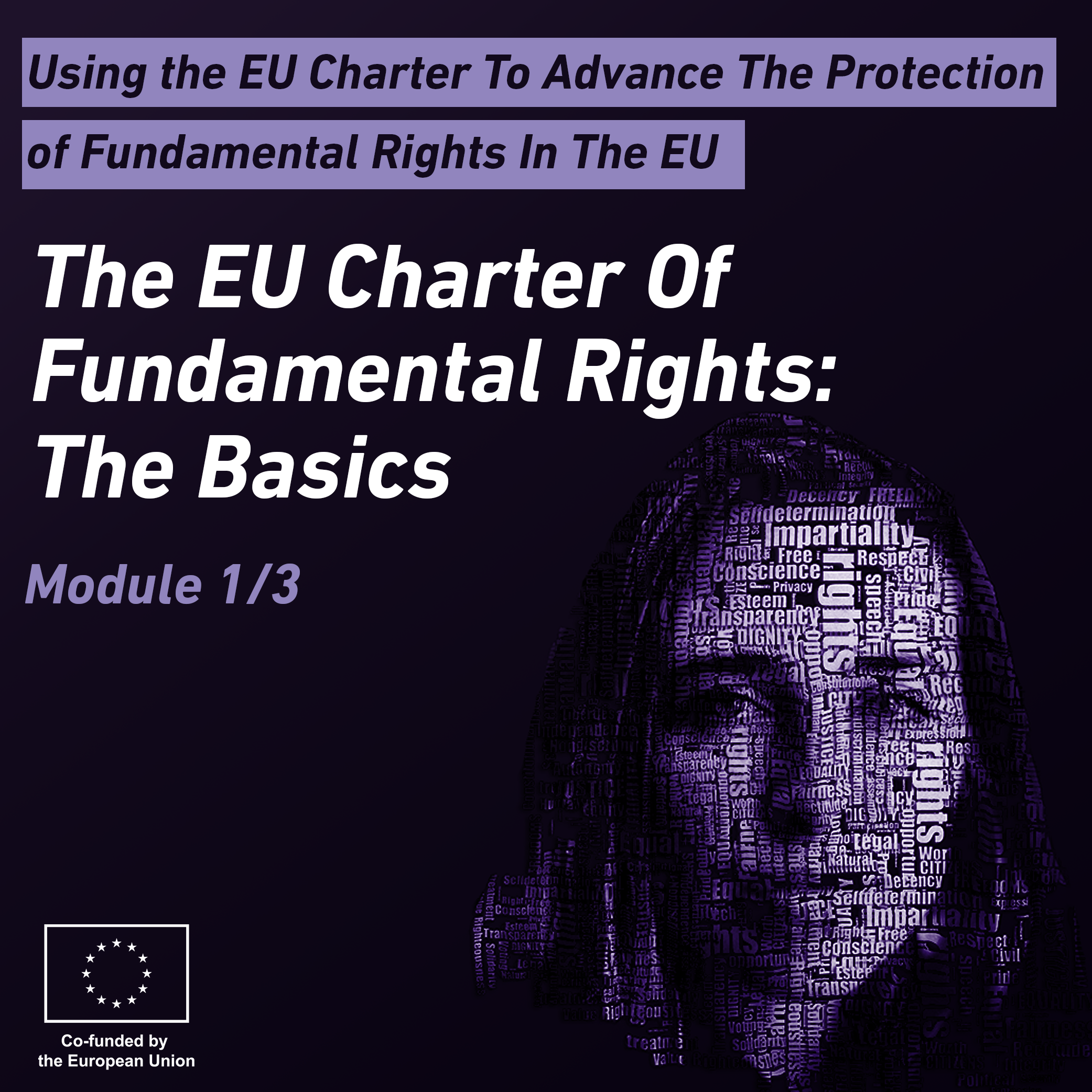 Using the EU Charter to Advance the Protection of Fundamental Rights in the EU - Module 1 LIB009