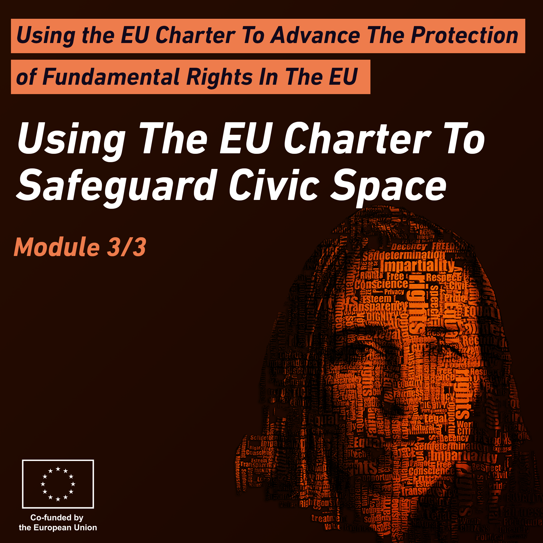 Using the EU Charter to Advance the Protection of Fundamental Rights in the EU - Module 3 LIB011