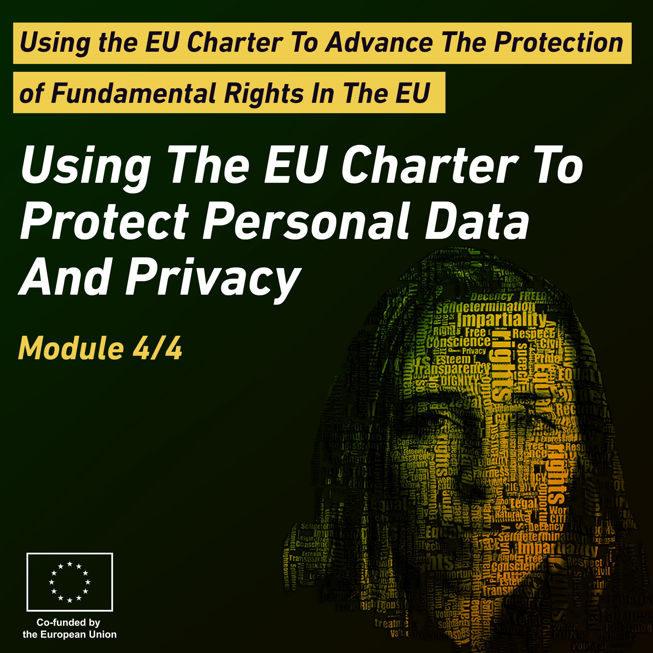 Using the EU Charter to Advance the Protection of Fundamental Rights in the EU - Module 4 LIB012